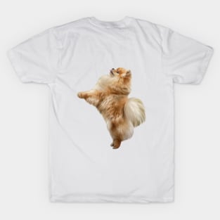 Dog Pomeranian Spitz T-Shirt